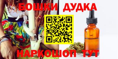 индика Можга