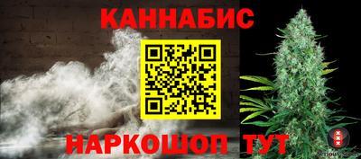 индика Можга