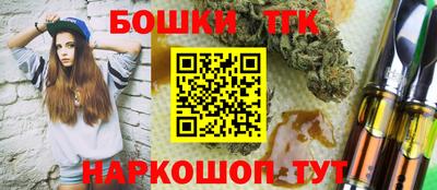 индика Можга