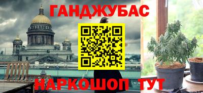 индика Можга
