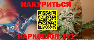 индика Можга