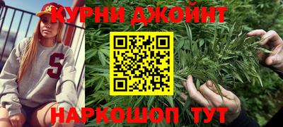 индика Можга