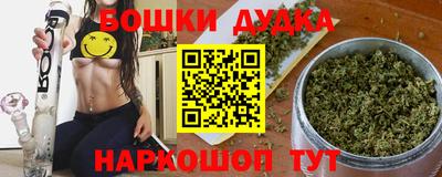 индика Можга