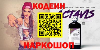 индика Можга