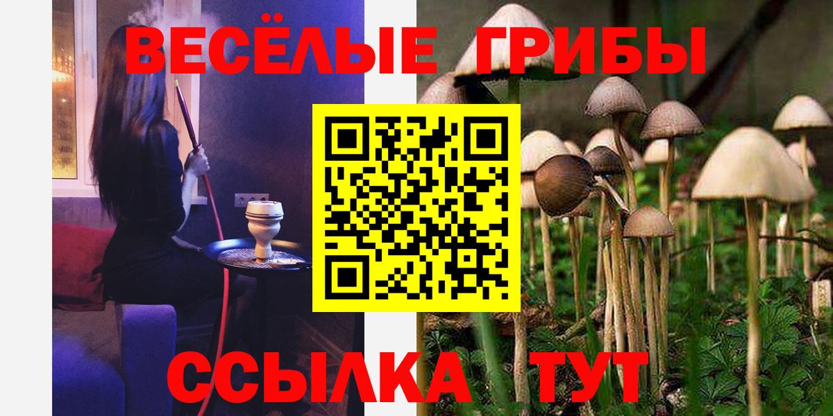 Галлюциногенные грибы MAGIC MUSHROOMS  Вход с VPN  Псилоцибиновые грибы MAGIC MUSHROOMS  Волгоград 
